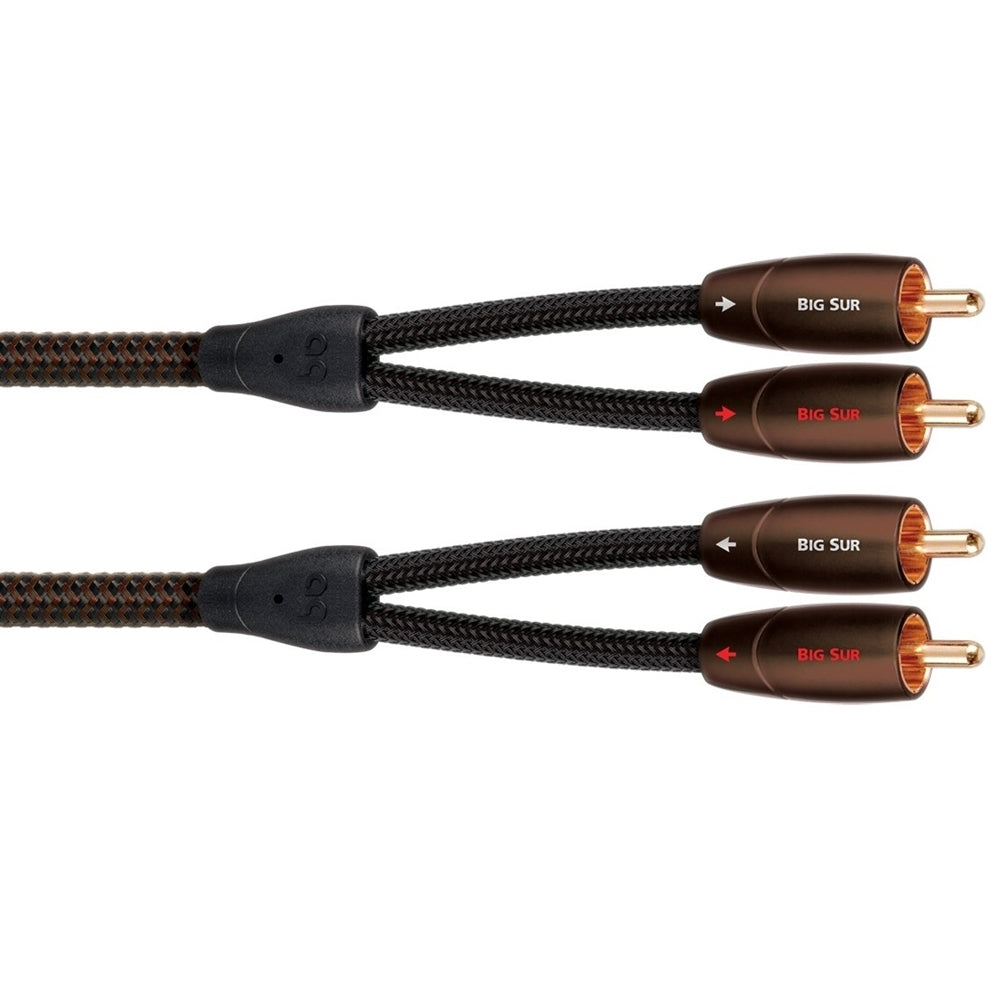 AudioQuest-Big-Sur-rca-rca-2