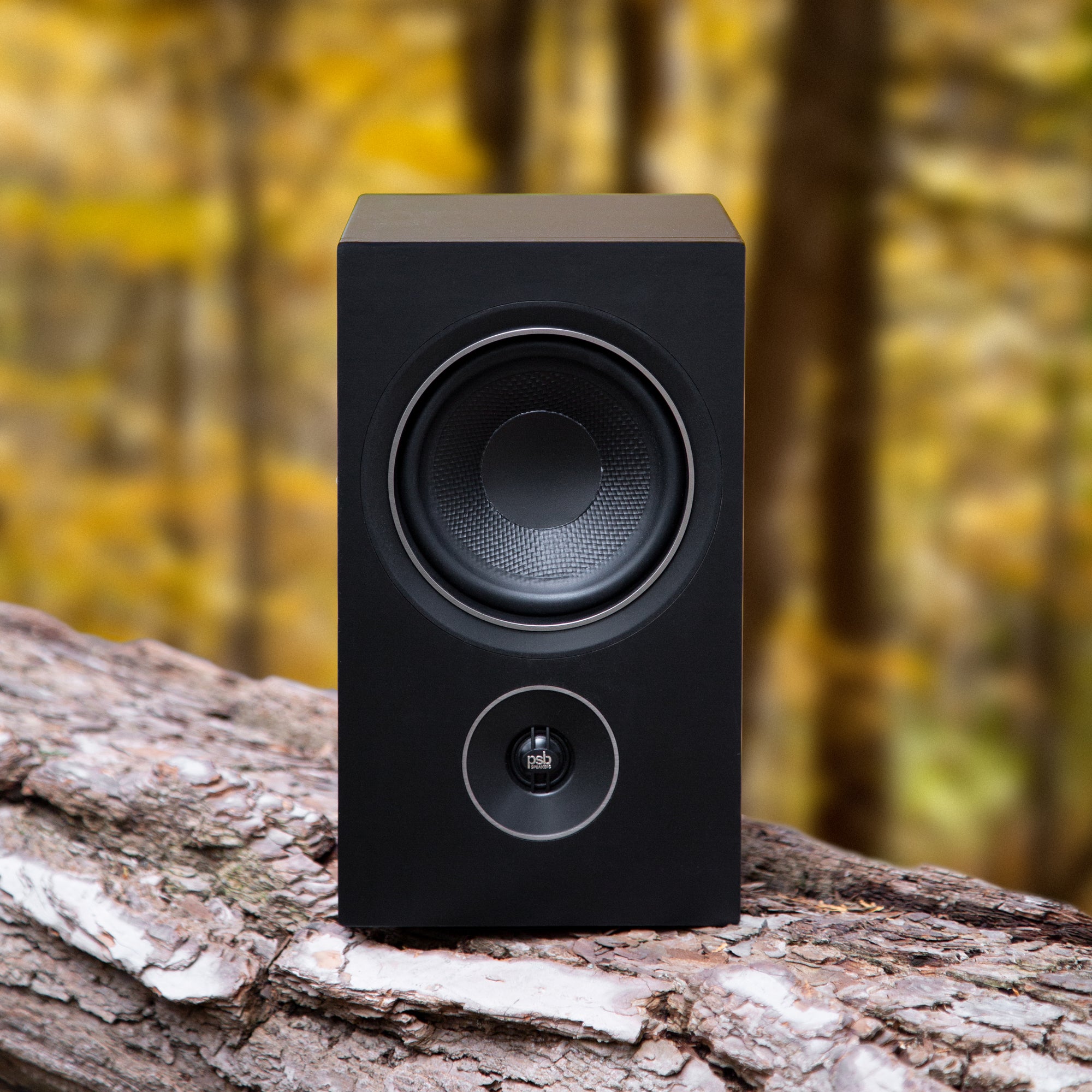 PSB_AlphaP5_on-log-with-forest-background-2000x2000