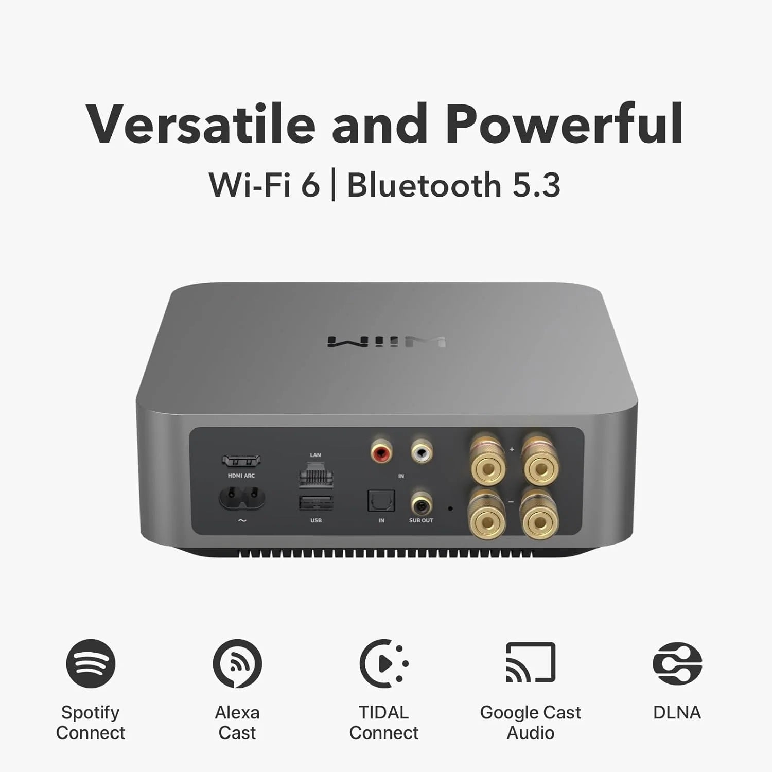 Wiim amp pro 6