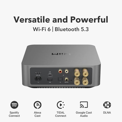 Wiim amp pro 6